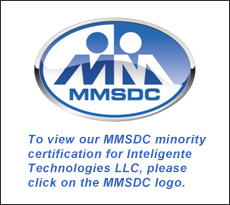 MMSDC Logo